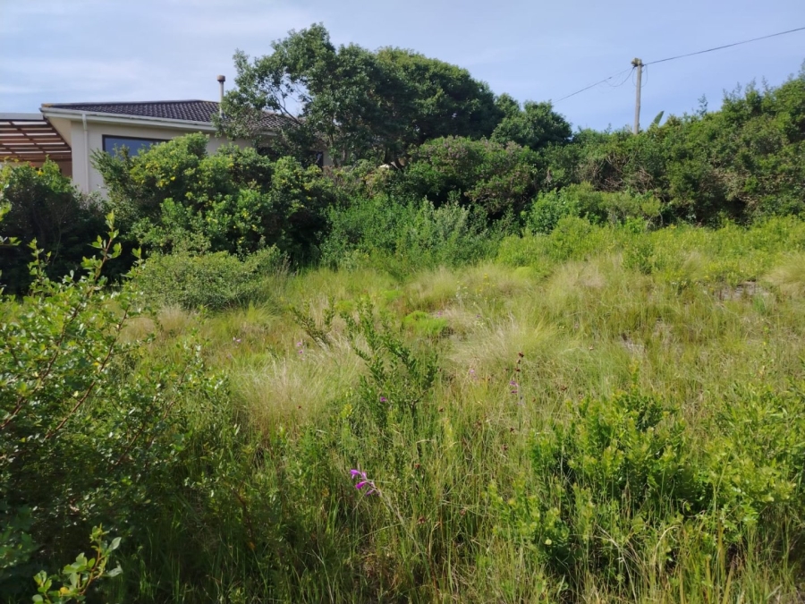 Commercial Property for Sale in Kingfisher Creek Western Cape